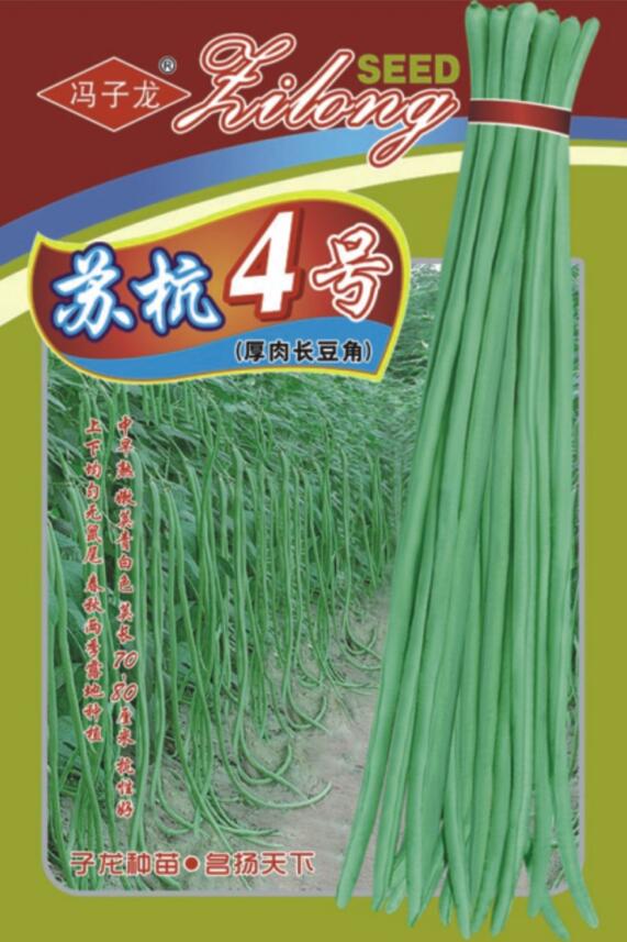 蘇杭4號(hào)厚肉長(zhǎng)豆角.jpg